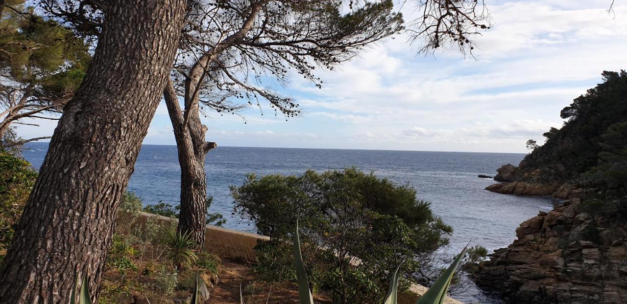 Maison Provencale Cavalaire-sur-Mer Luaran gambar